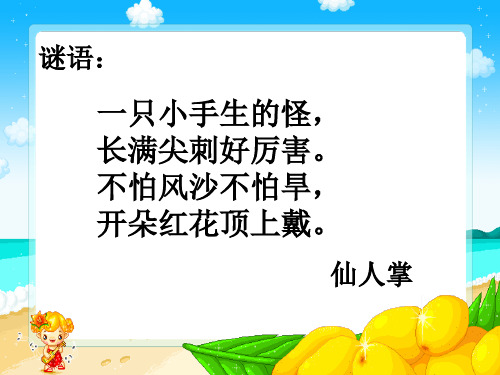 五年级上册科学课件8仙人掌的刺 冀教版 (共12页)PPT