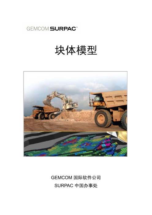 块体模型(surpac)