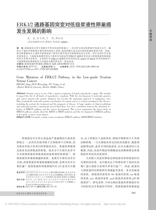 ERK1_2通路基因突变对低级浆液性卵巢癌发生发展的影响_张晶