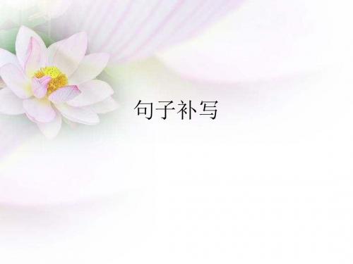 句子补写
