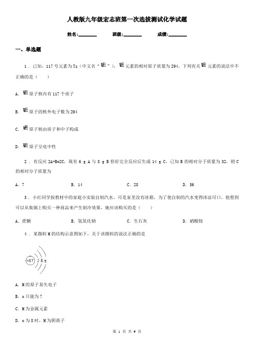 人教版九年级宏志班第一次选拔测试化学试题