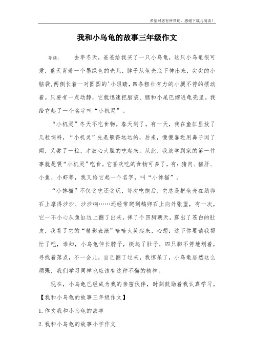 我和小乌龟的故事三年级作文