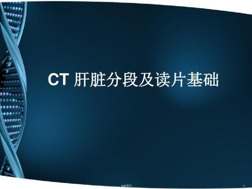 CT肝脏分段及读片  ppt课件