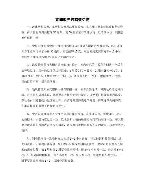 菜棚改养肉鸡效益高