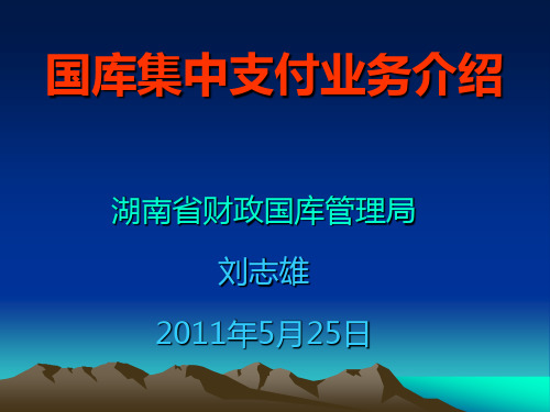 2011-5-24国库集中支付业务培训