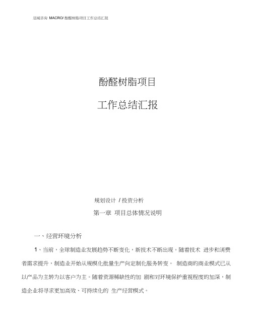 酚醛树脂项目工作总结汇报