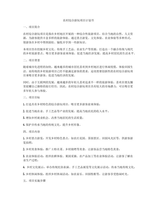 农村综合游玩项目计划书