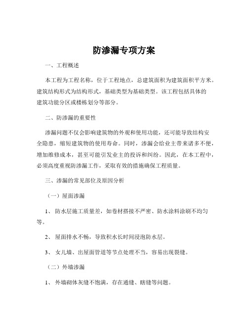 防渗漏专项方案