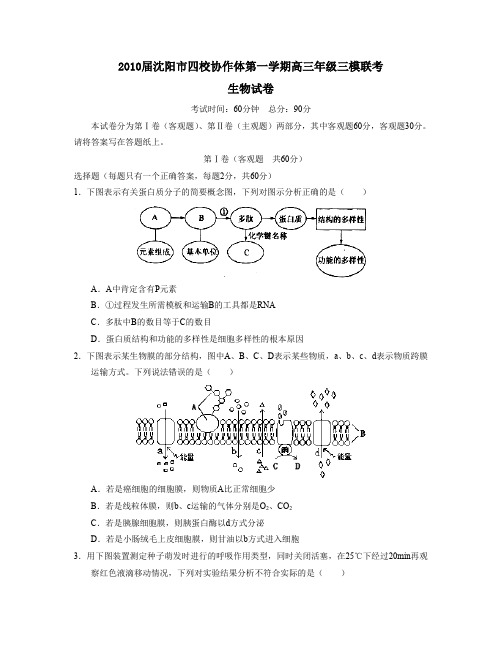2010届沈阳四校协作体第一学期高三年级三模联考