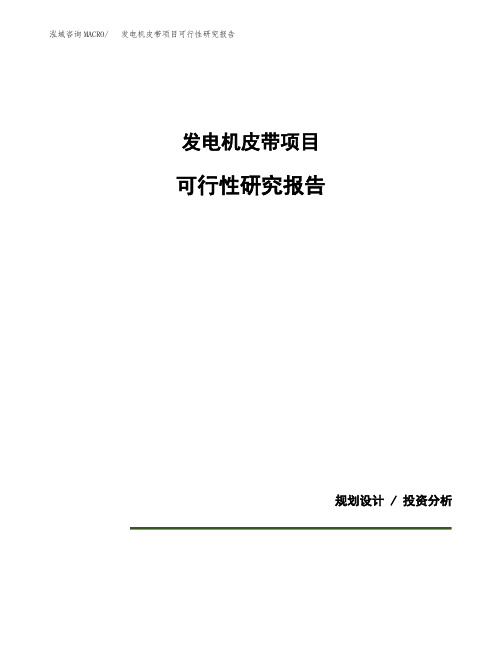 发电机皮带项目可行性研究报告(规划设计模板)