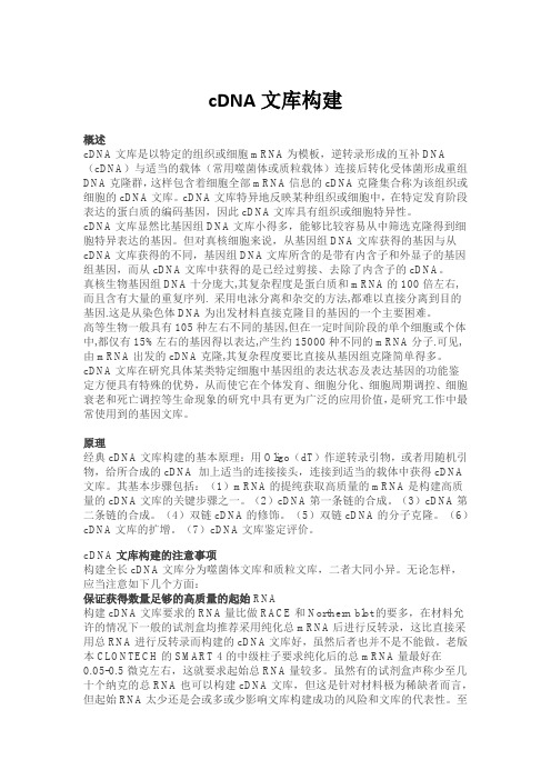 cDNA文库构建