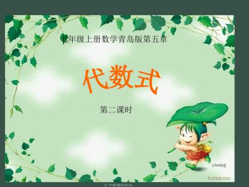 青岛版七年级上5.2.2《代数式》ppt课件