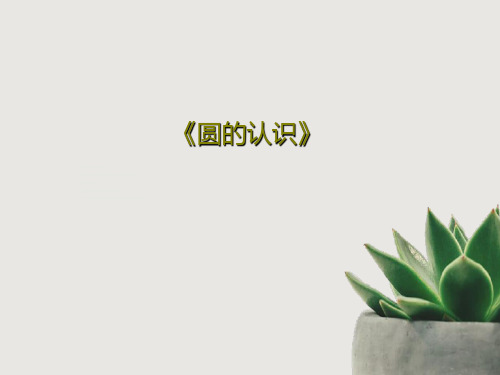 《圆的认识》共41页文档
