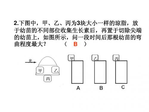 高中生物：《 植物生命活动的调节》课件(新人教必修3)1