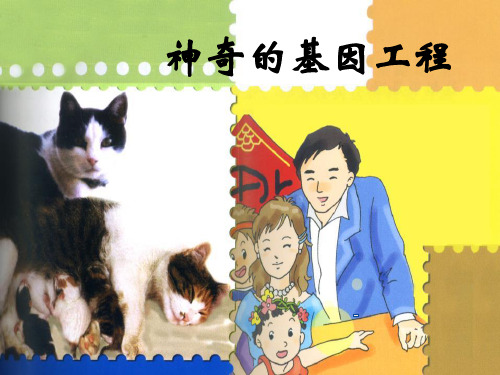 202X春湘教版科学五下4.3《神奇的基因工程》ppt课件