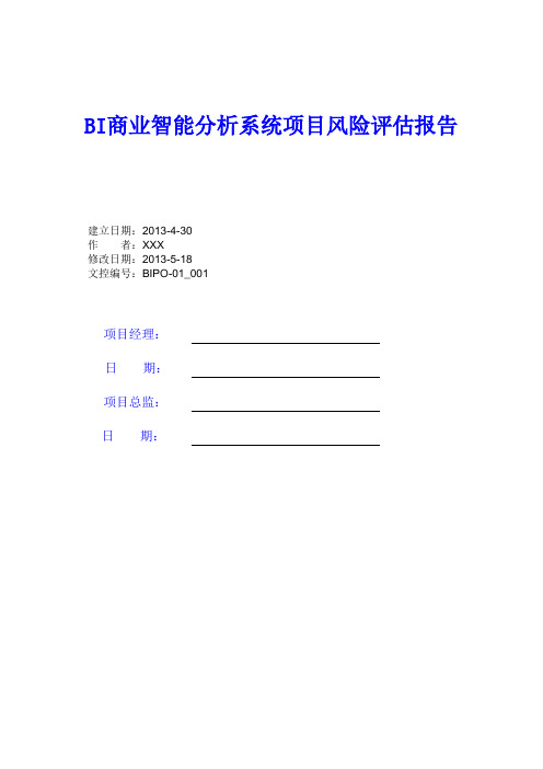 BI商业智能分析系统项目风险评估报告