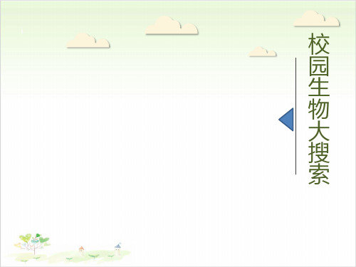 六年级上册科学-校园生物大搜索优秀课件教科版