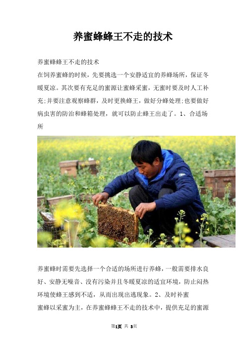 养蜜蜂蜂王不走的技术