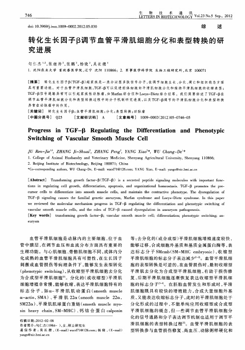 转化生长因子β调节血管平滑肌细胞分化和表型转换的研究进展