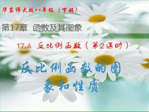 华师大版八年级数学下册第十七章《反比例函数(第2课时)》优质课课件 (2)