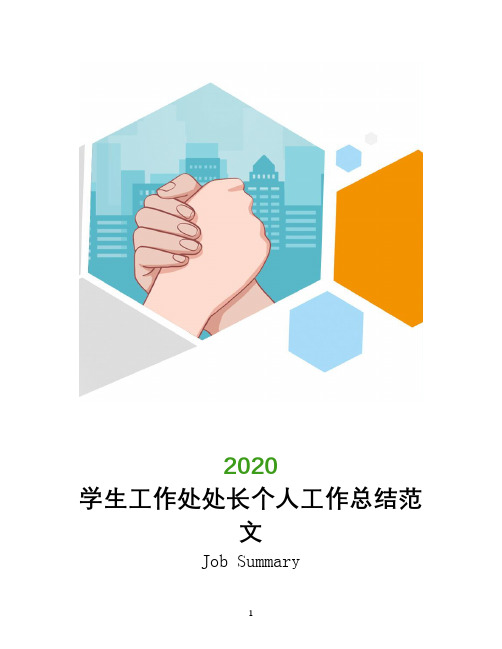学生工作处处长个人工作总结范文