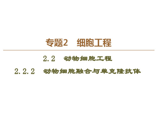 人教版高中生物选修三课件专题22.2.2动物细胞融合与单克隆抗体