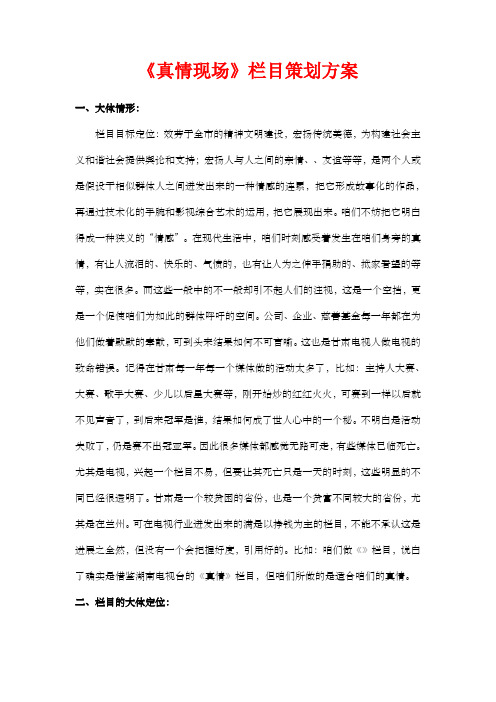 真情现场栏目策划方案