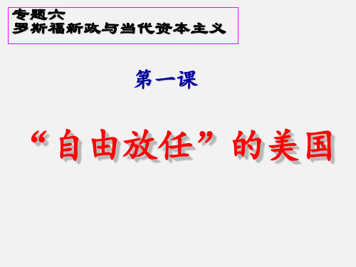6.1“自由放任”的美国