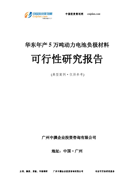 华东年产5万吨动力电池负极材料可行性研究报告-广州中撰咨询