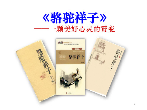 部编版语文七年级下册第三单元名著导读《骆驼祥子》课件(共18张PPT)