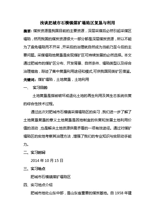 浅谈肥城市石横镇煤矿塌陷区复垦与利用