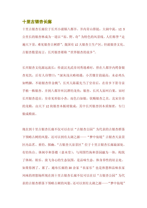 十里古银杏长廊