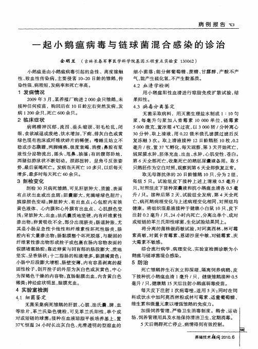 一起小鹅瘟病毒与链球菌混合感染的诊治