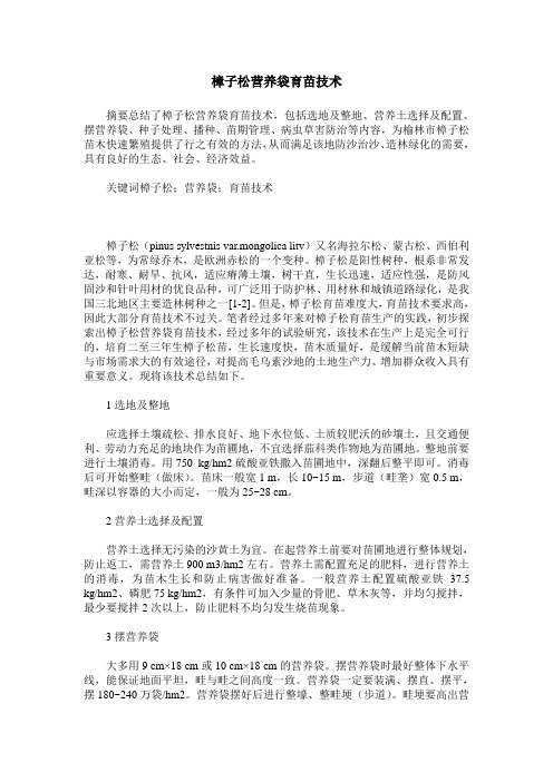 樟子松营养袋育苗技术
