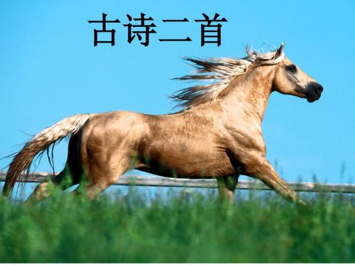 古诗二首