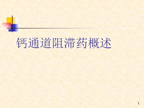 钙通道阻滞剂概述ppt演示课件