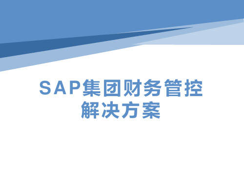 82页PPTSAP 集团财务管控整体方案(豪华版)