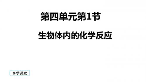 生物体内的化学反应