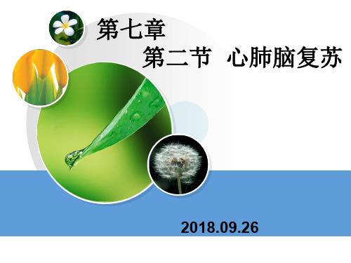 心肺脑复苏(急危重症护理学)PPT课件
