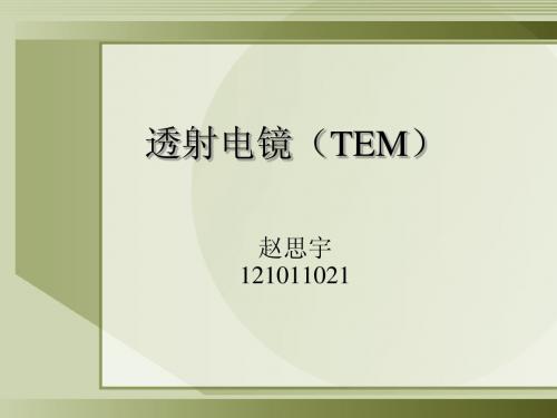 TEM(透射电子显微镜)