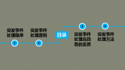 常见突发事件的应对与处理