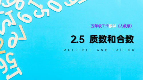 五年级下册数学(人教版)  质数和合数