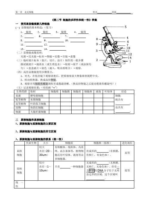 《第二节 细胞的多样性和统一性》学案