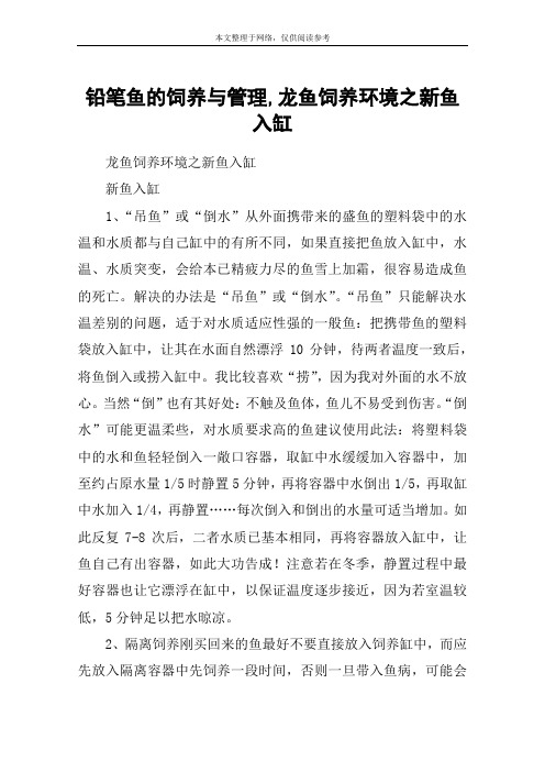 铅笔鱼的饲养与管理,龙鱼饲养环境之新鱼入缸