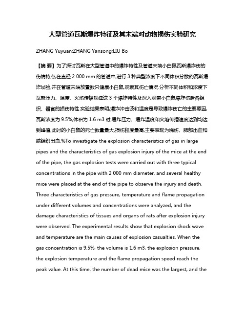 大型管道瓦斯爆炸特征及其末端对动物损伤实验研究