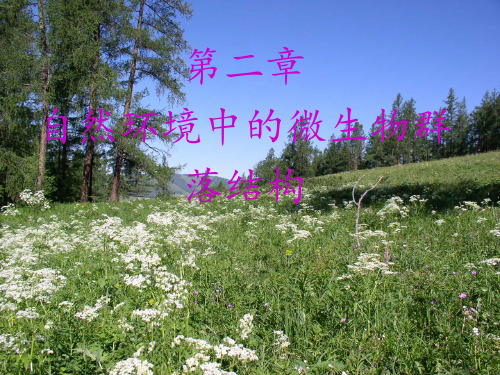 自然环境中微生物课件