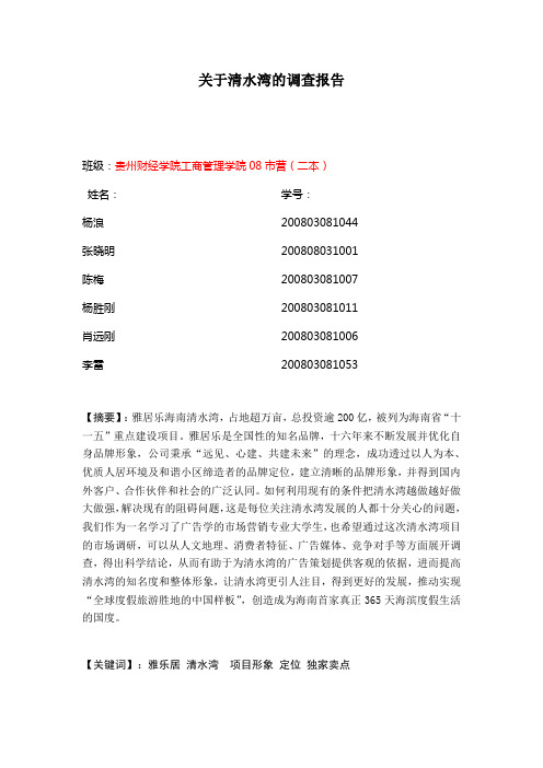 清水湾的调查报告