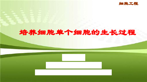 2.3培养细胞单个细胞的生长过程