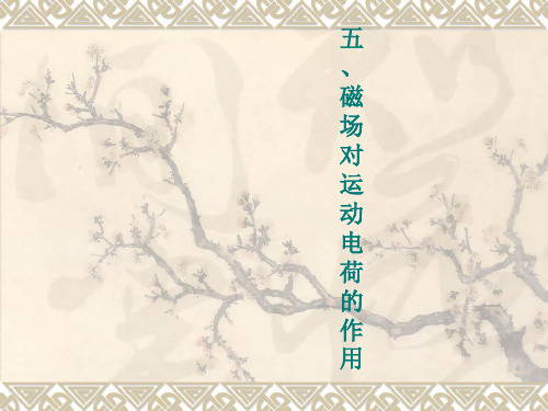 洛伦兹力教学课件