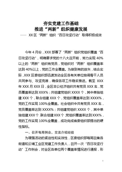 xxxx区“百日攻坚行动”情况介绍